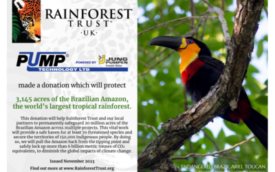 Rainforest Trust UK – An update